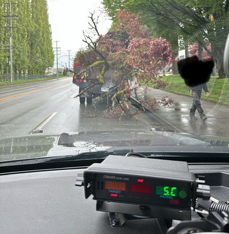 Photo prise à l’intérieur d’un véhicule de police lors d’un contrôle routier montrant l’arrière du véhicule commercial duquel dépassent de gros arbres