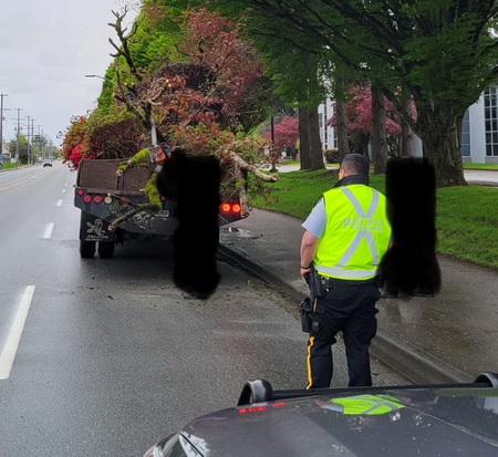Photo d’un policier portant un gilet réflecteur jaune et un uniforme de police. Il se tient derrière le véhicule commercial duquel dépassent de gros arbres