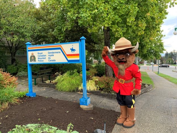 A bison mascot dressed in formal RCMP red serge, wearing a red serge jacket, brown boots and brown Stetson hat raising one hand in a salute beside an RCMP sign.