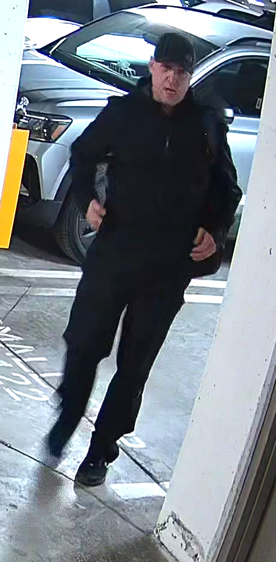 Can you help us to identify this person?
